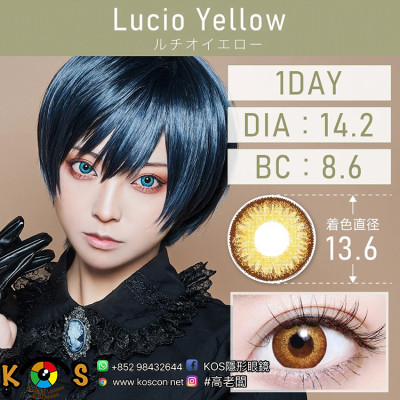 TeAmo 1Day Lucio Yellow ティアモ ワンデー ルチオイエロー TeAmo 1Day Lucio Yellow ティアモ ワンデー ルチオイエロー